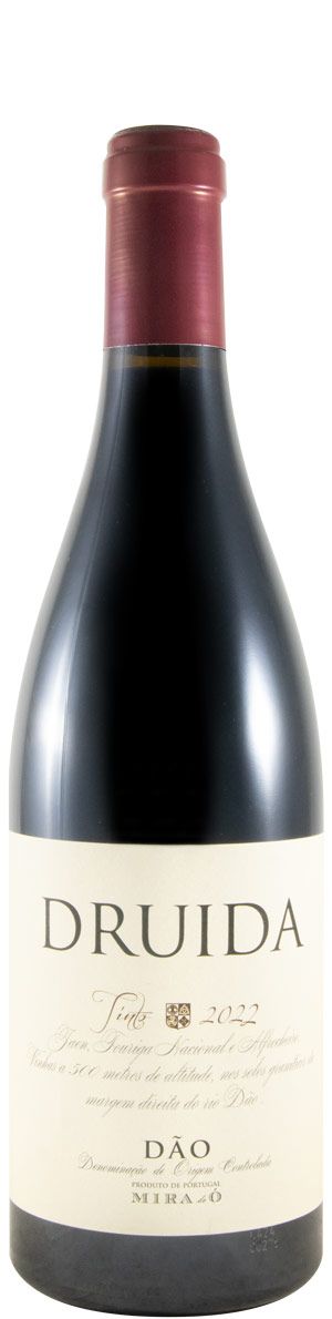Nuno Mira de Ó | Druida Tinto